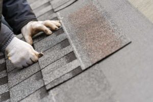 A person inspecting a residential roof with visible shingles and tree branches nearby.