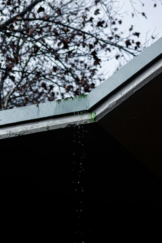 A person clears wet leaves from a residential gutter beside a shingled roof after autumn rain.